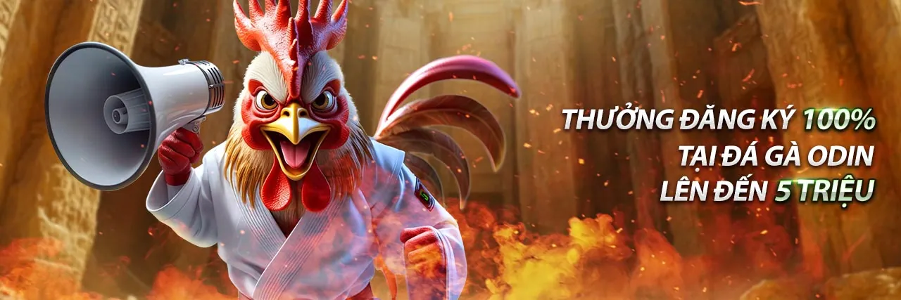 Hình ảnh hỗ trợ khách hàng Sunwin20 APK chuyên nghiệp